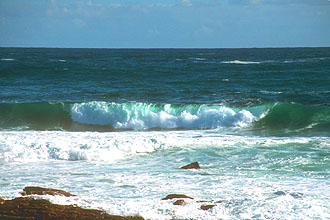 Cape Town Cape of Good Hope Nature Reserve ocean wave