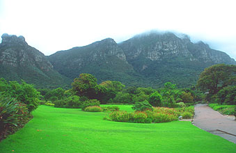 Cape Town Kirstenbosch Botanical Gardens 4