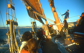 Cape Town sunset cruise across Table Bay 1