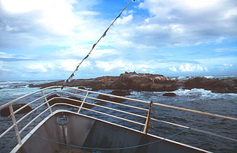 Hout Bay boat trip to Duiker Seal Island 2