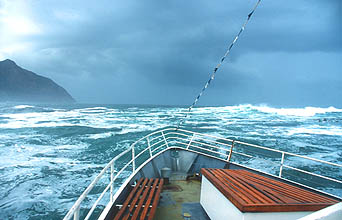 Hout Bay boat trip to Duiker Seal Island 7