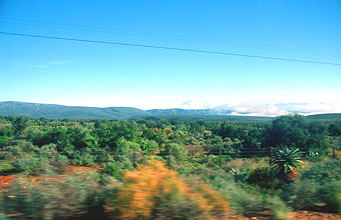 Little Karoo road near Oudtshoorn 2