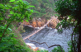 Storms River Mouth suspension bridge