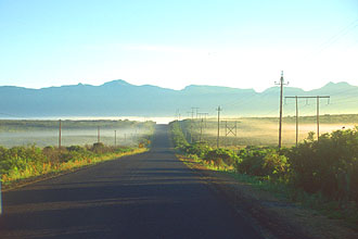 morning fog on the street near Gans Baai