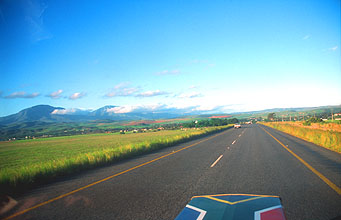 road from Albertinia to Swellendam 3