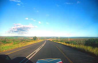 road from Knysna to Albertinia 3