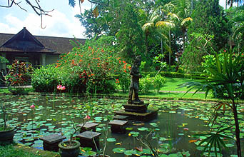 Bali Ubud Puri Lukisan Art Museum garden