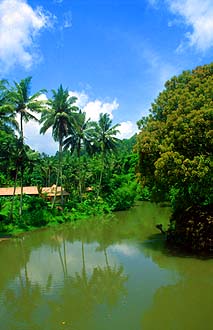 Bali Ubud small river