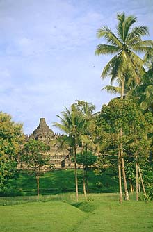 Yogjakarta Borobudur panorama with palm trees