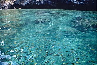 Krabi: Crystal clear water around Yamma Sam Island