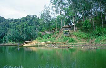 Iban Longhouses on the shores of a jungle river