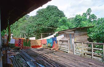 Iban Longhouses: inner verandah is shared with toilet