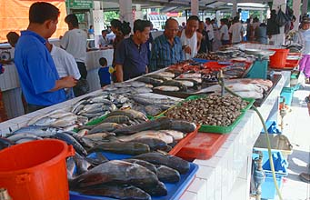 Sarawak: Serian, Fish market