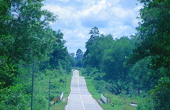 Sarawak: Modern Highway between Serian and Bandar Sri Aman, crossing the tropical rainforest