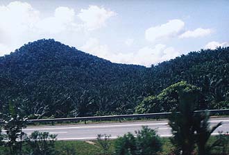 North-South Highway and Oilpalm Plantation