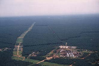 Selangor: Palm oil plantations and oil mill