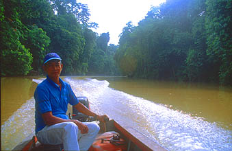 Miri boat transfer from Batu Niah to Niah Caves National Park