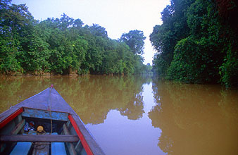 Miri boat transfer on Sungai Niah river to Niah Caves National Park