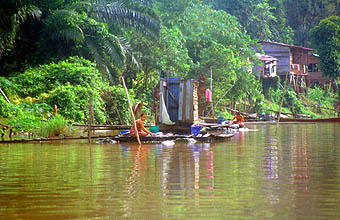 Miri houses on the Sungai Niah river 1