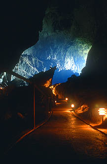 Gunung Mulu National Park Deer Cave 2