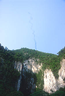 Gunung Mulu National Park Deer Cave bats emerging from cave