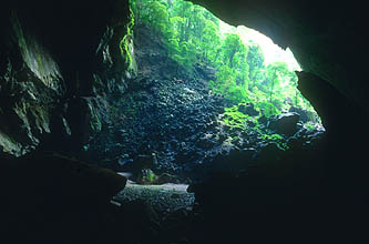 Gunung Mulu National Park Deer Cave open end