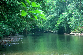 Gunung Mulu National Park Melinau river