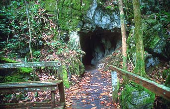 Gunung Mulu National Park Moon Milk Cave