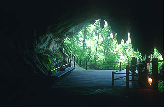 Gunung Mulu National Park Wind Cave entrance