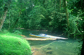 Gunung Mulu National Park boats parking outside Wind Cave