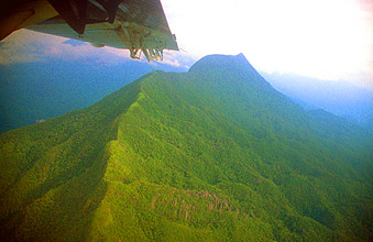 Gunung Mulu National Park view on the pinnacles from aircraft 3