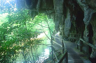 Gunung Mulu national park boardwalk from Wind to Clearwater Cave