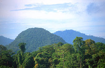 Mulu landscape with limestone hills