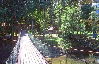 Mulu suspension bridge to the national park headquarters