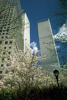 NYC_New_York_World_Trade_Center_with_trees_in_springtime.jpg