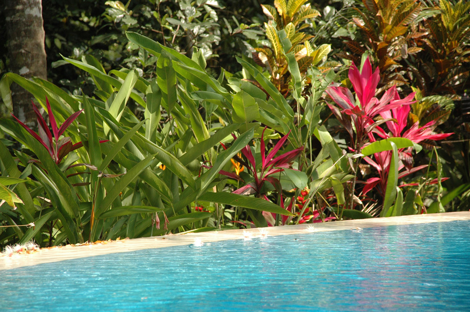 DPS Bali Ubud Bedulu Gubah Bali Exclusive Villas pool with tropical plants 01 3008x2000