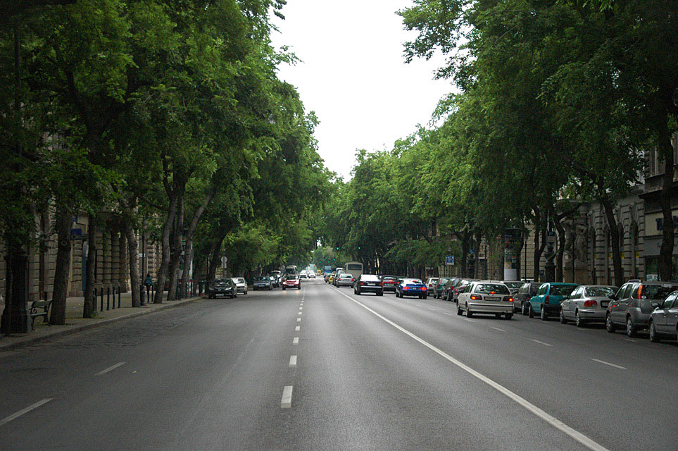 BUD Budapest - Andrassy ut street with trees 01 3008x2000