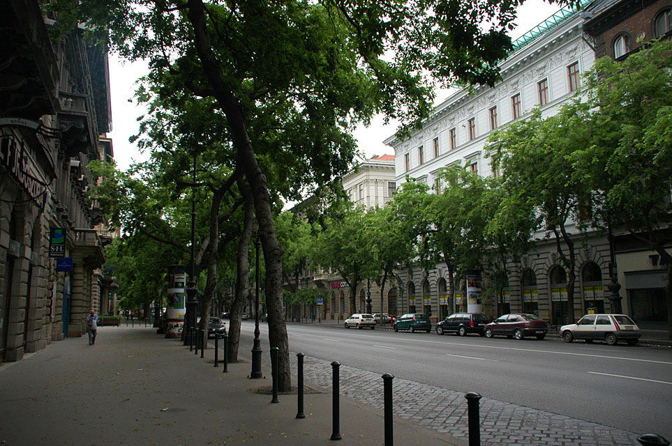 BUD Budapest - Andrassy ut street with trees 02 3008x2000