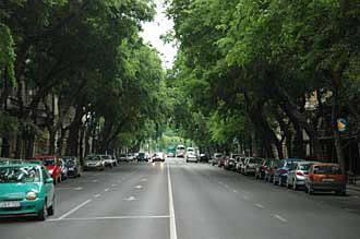 BUD Budapest - Andrassy ut street with trees 03 3008x2000
