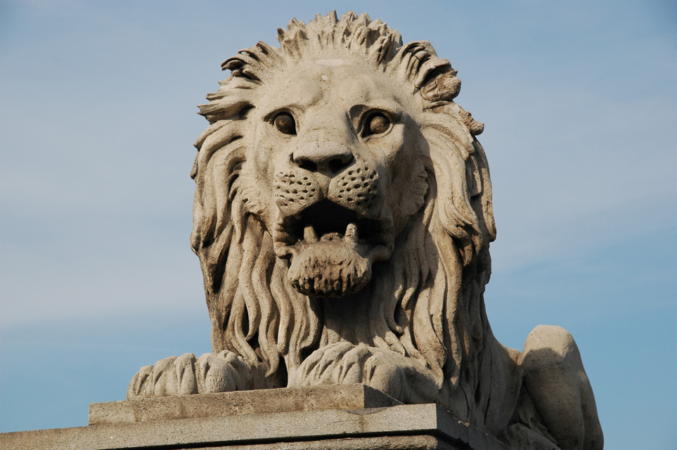 BUD Budapest - Chain Bridge (Szechenyi lanchid) lion 02 3008x2000