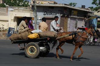 JAI Jaipur - horse cart in the town center 3008x2000