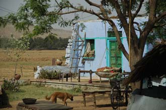 JAI - idyllic house in the fields on the road from Ranthambore National Park to Karauli 3008x2000