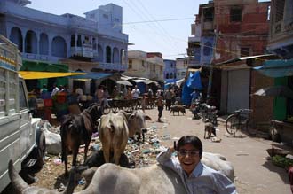 JAI Karauli in Rajasthan - town center with cows on the streets resting on rubbish with local kids posing and laughing 3008x2000