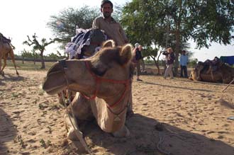 DEL Mandawa in Shekawati region - nice camel with his proud owner in nearby village 3008x2000