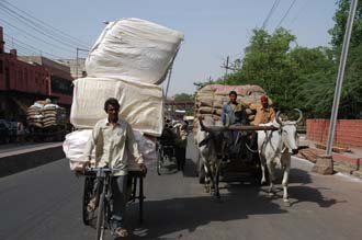 AGR Agra - cargo transport with oxen cart and bike rickshaw 3008x2000