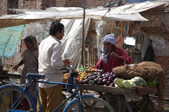 AGR Agra - vegetable stall with tomatoes aubergines or eggplants and bicycle 3008x2000