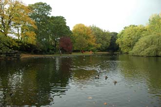 DUB Dublin - St Stephens Green lake with trees in autumn colors 01 3008x2000