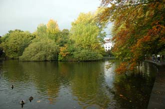 DUB Dublin - St Stephens Green lake with trees in autumn colors 02 3008x2000