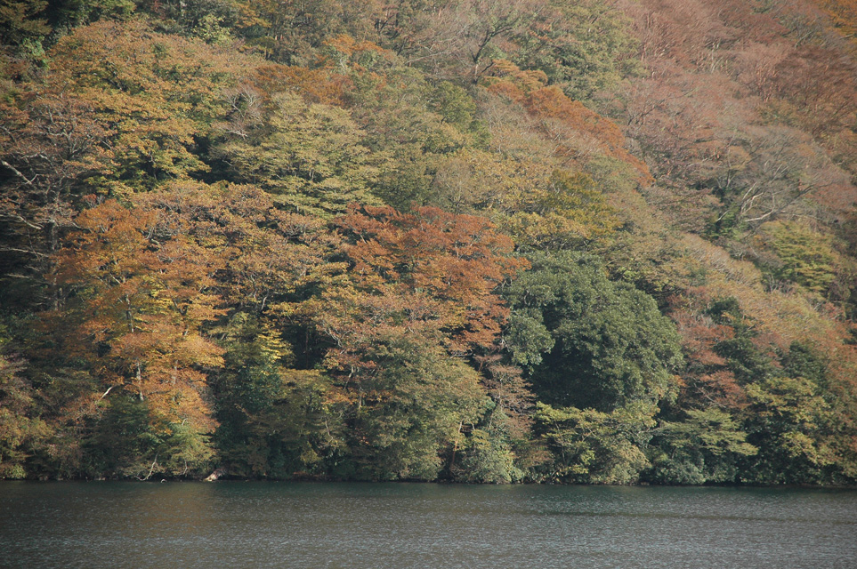 NRT Hakone - Ashino-ko lake with colourful autumn leaves on trees seen from pirate ship ferry from Togendai to Hakone-machi 01 3008x2000