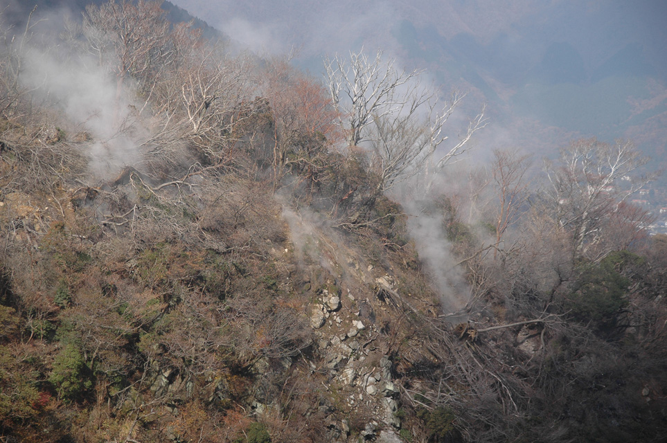 NRT Hakone - view on volcanic steams and dead trees from cable-car or ropeway between Soun-zan and Owakudani 3008x2000
